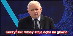 Kaczyński: włosy stają dęba na głowie.